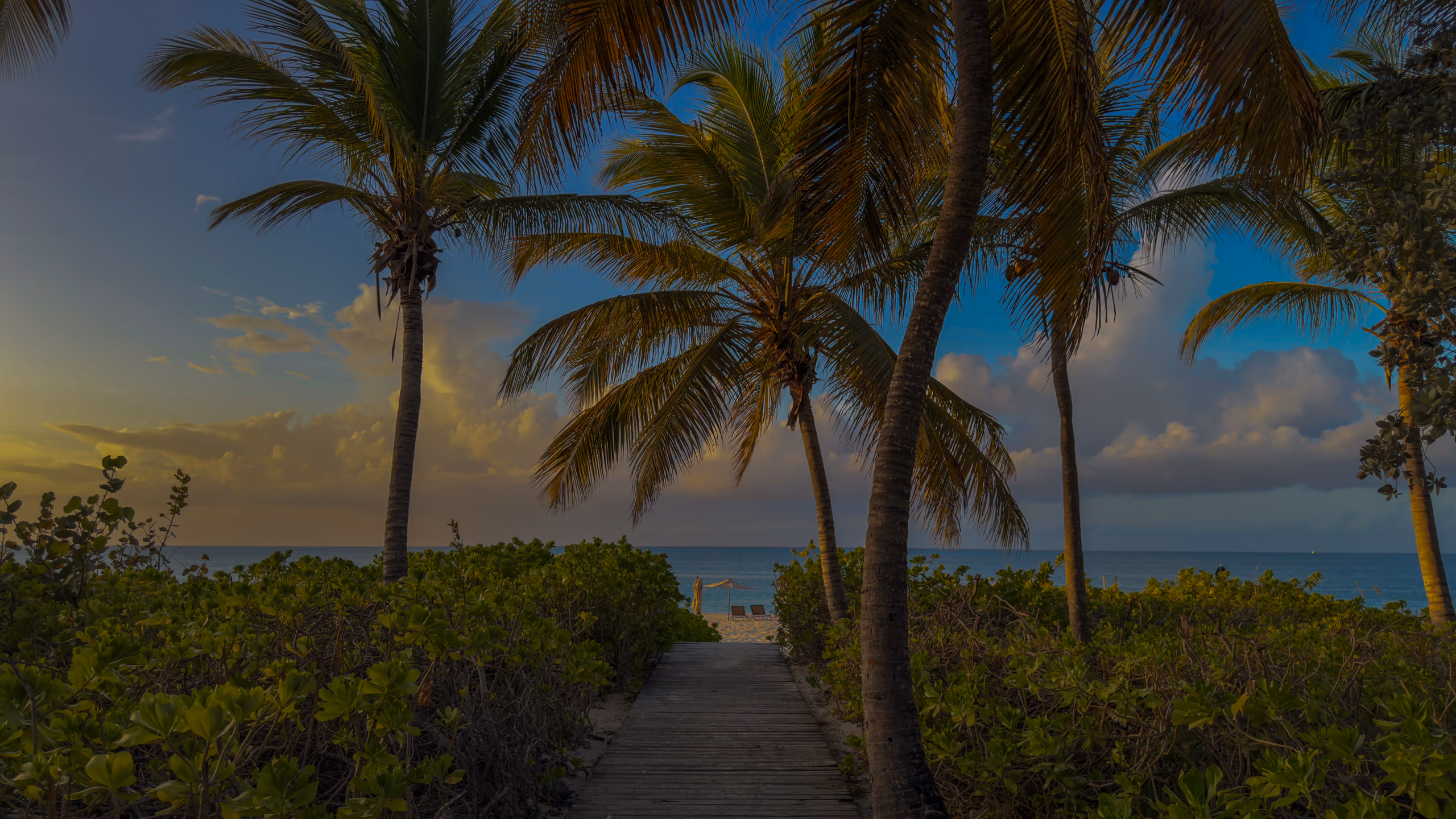 A wooden boardwalk between palm trees and sea grape, leading to the beach and the sea at sunset