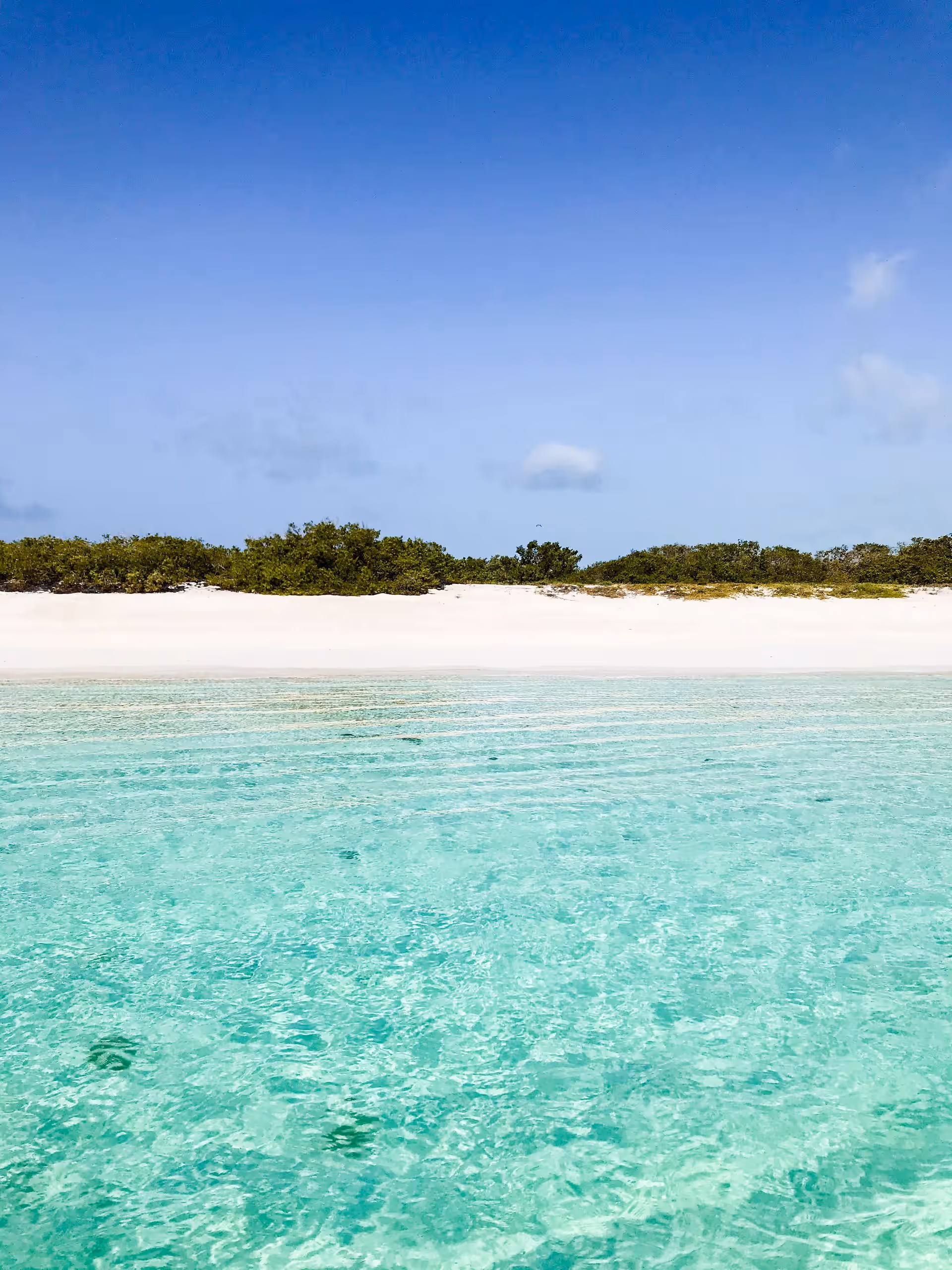 Clear turquoise shallows in front of a white sand shore backed by low green scrub