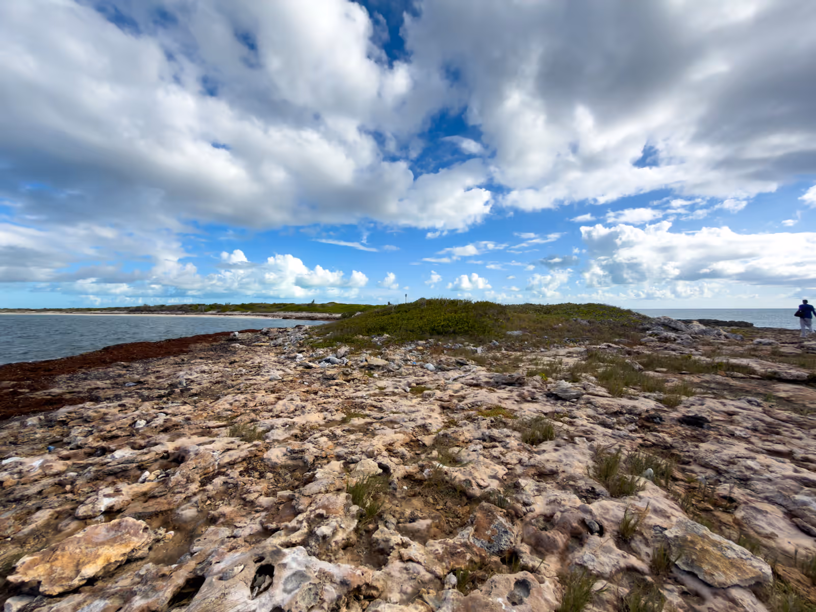 Weathered limestone rock at the point, low scrub and the sea on both sides
